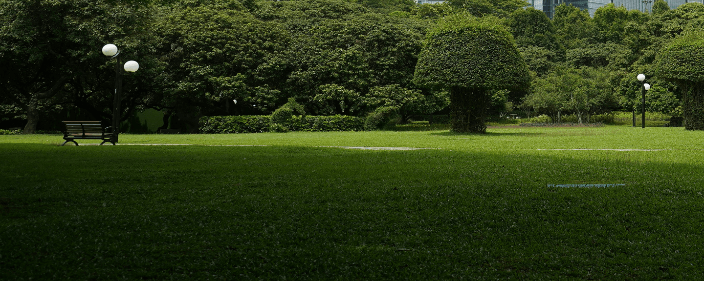 SC Green Mark Banner